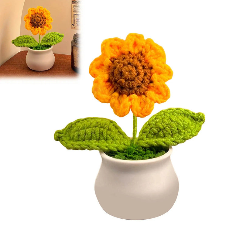 Sonnenblume